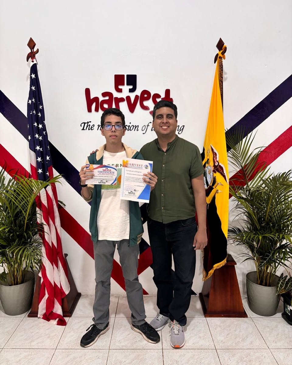certificado-29C